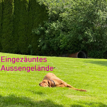 Hier fühlt man sich wohl