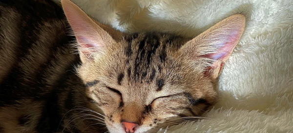 Diese Seite wird gerade überarbeitet