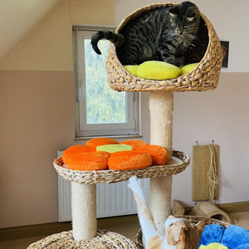 Hier fühlt man sich wohl