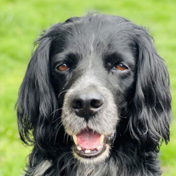 Hier fühlt man sich wohl